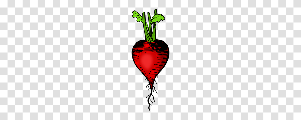 Lutz Nature, Plant, Heart, Ball Transparent Png