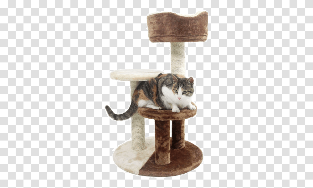 Luxurious Three Layer Cat Climbing Frame 80031 Comfortable Cat Tree, Pet, Animal, Plant, Mammal Transparent Png