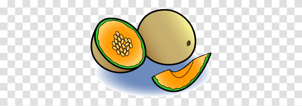 Luxury Cantaloupe Clipart, Melon, Fruit, Plant, Food Transparent Png
