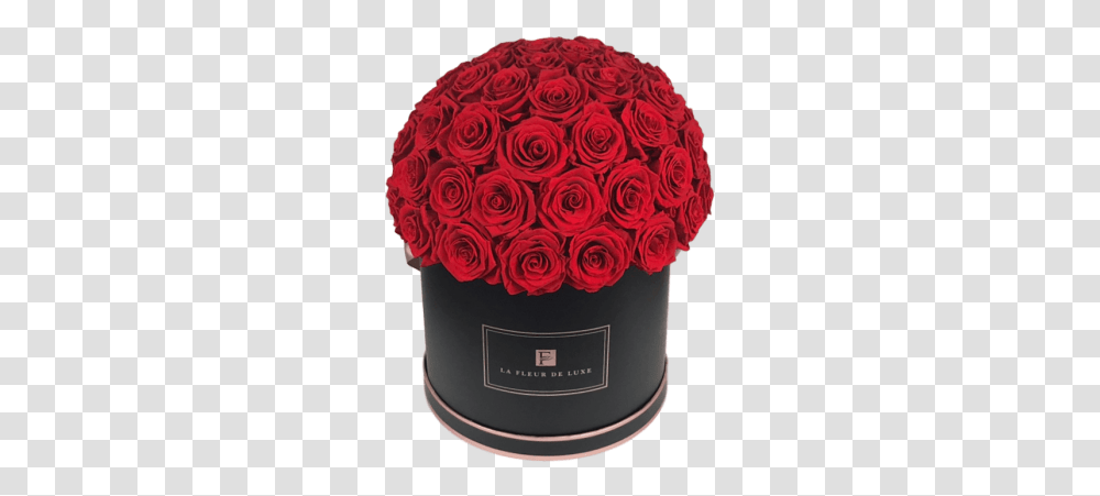 Luxury Real Roses That Last A Year Garden Roses, Plant, Flower Bouquet, Flower Arrangement, Blossom Transparent Png