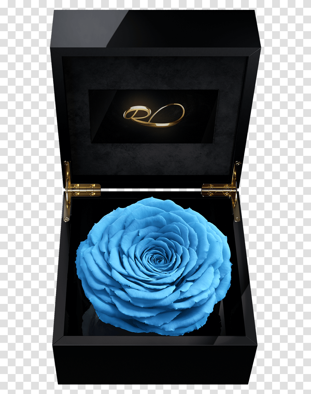 Luxury Video Flower Box Magna With A Xl Preserved Blue, Plant, Rose, Dahlia, Pattern Transparent Png