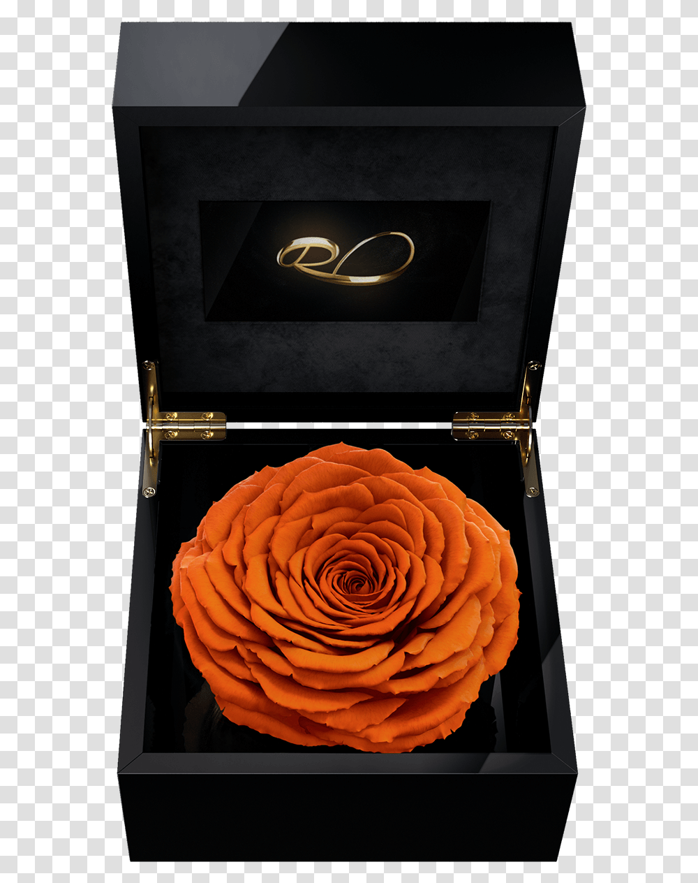 Luxury Video Flower Box Magna With A Xl Preserved Orange Rose, Plant, Blossom, Tree, Goblet Transparent Png