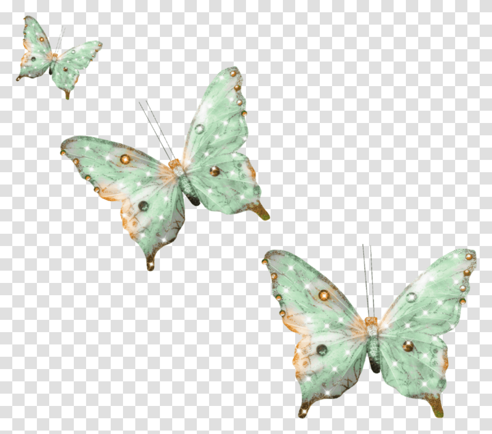 Lycaenid, Butterfly, Insect, Invertebrate, Animal Transparent Png