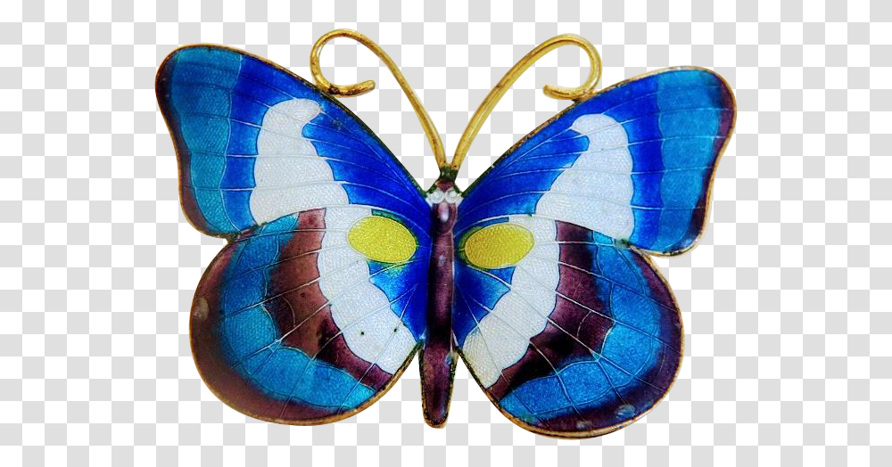 Lycaenid, Butterfly, Insect, Invertebrate, Animal Transparent Png