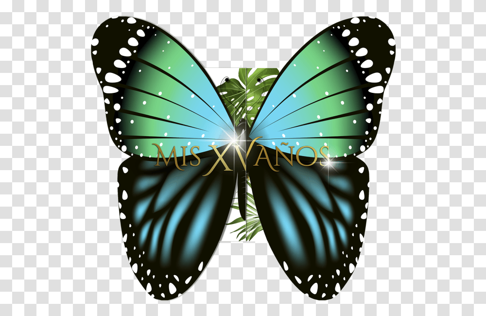 Lycaenid, Lamp, Outdoors Transparent Png