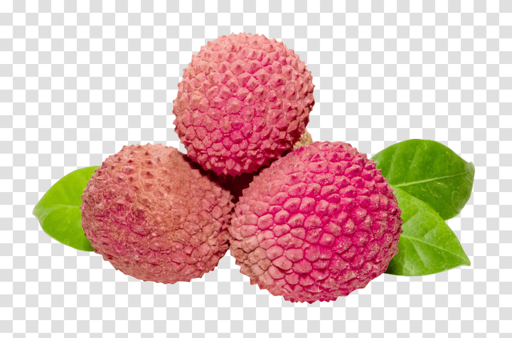 Lychee, Fruit, Plant, Dahlia, Flower Transparent Png