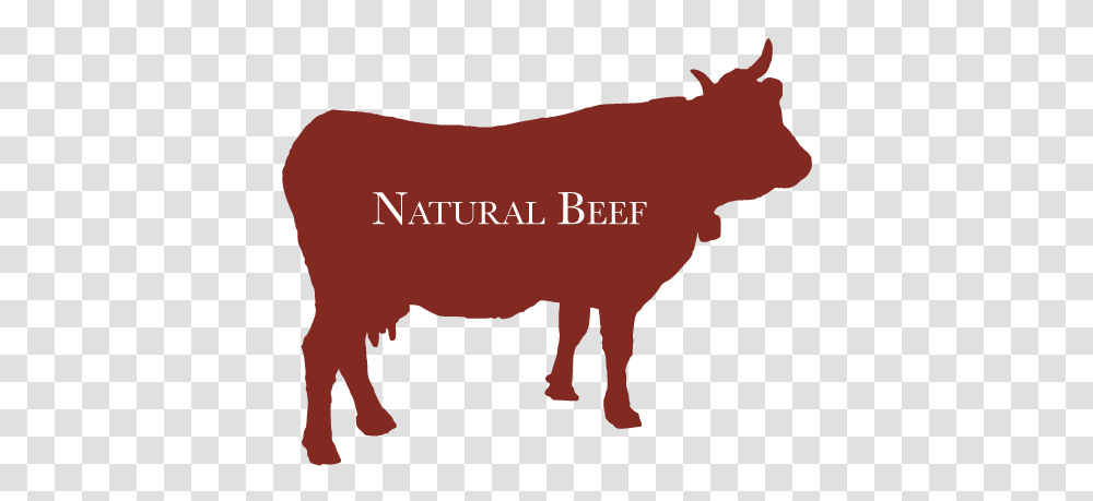 Lyn Dell Farm, Bull, Mammal, Animal, Buffalo Transparent Png