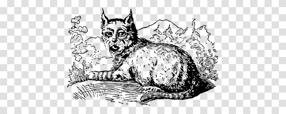 Lynx Nature, Gray, World Of Warcraft Transparent Png