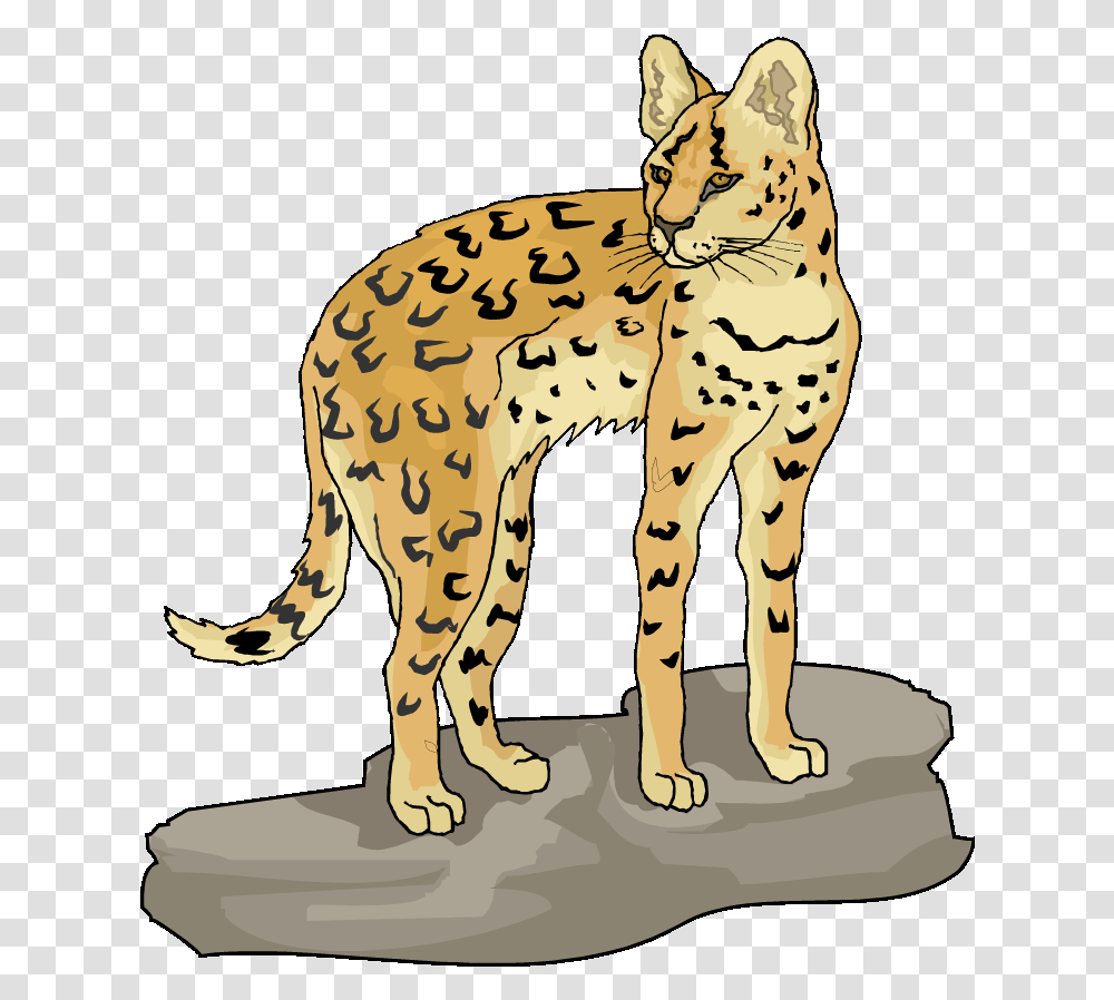 Lynx Clipart, Cheetah, Wildlife, Mammal, Animal Transparent Png