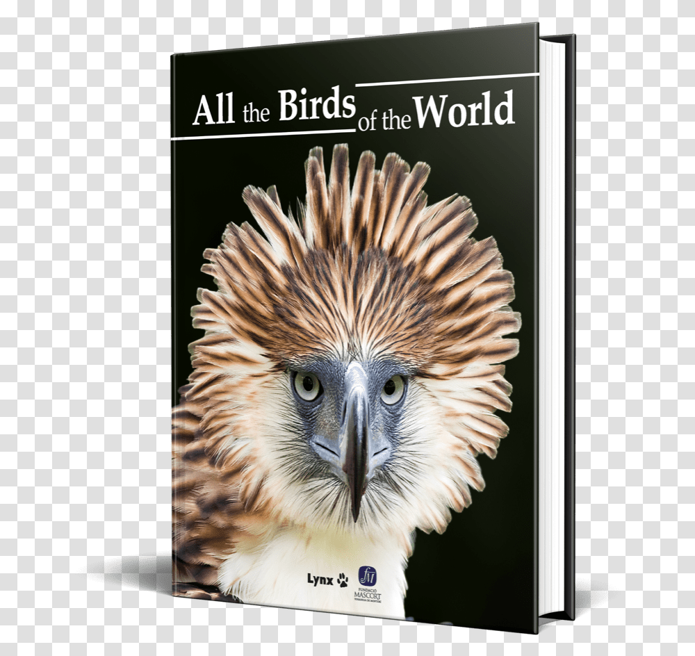 Lynx Edicions - Publishers Of The Highly Acclaimed Handbook Change You Want To See, Bird, Animal, Beak, Eagle Transparent Png