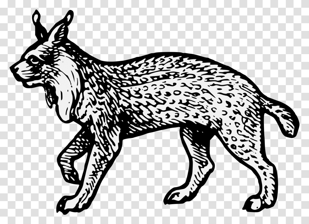 Lynx Heraldry, Dinosaur, Reptile, Animal, Mammal Transparent Png