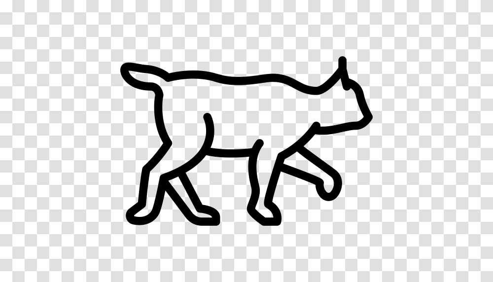 Lynx Icon, Gray, World Of Warcraft Transparent Png