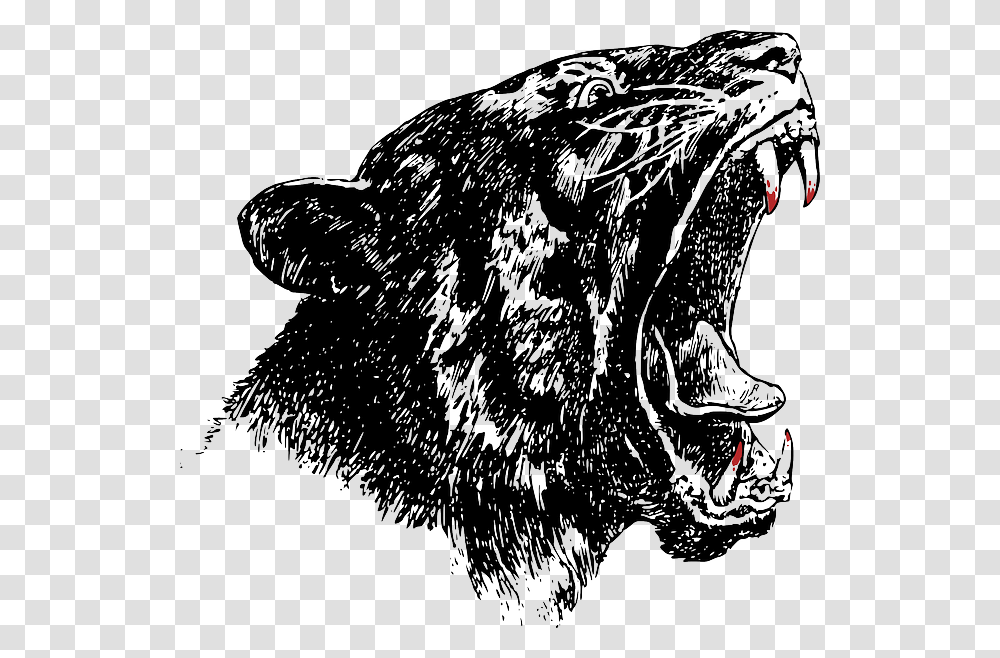 Lynx Panther Wildcat Yawning Hungry Animal Teeth Go Savage, Mammal, Pet, Bird, Mouth Transparent Png