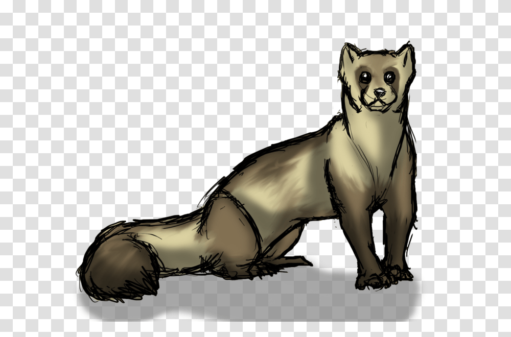 Lyreice Sketch, Animal, Cat, Pet, Mammal Transparent Png