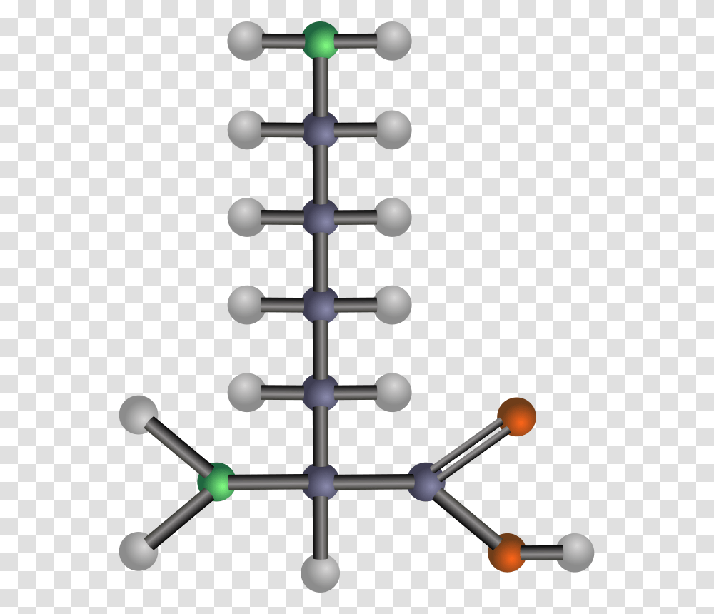 Lysine, Technology, Network, Antenna, Electrical Device Transparent Png