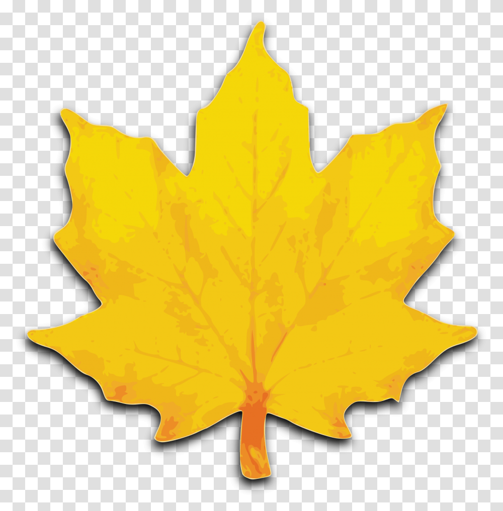 M Leaf Icons, Plant, Tree, Maple Leaf Transparent Png