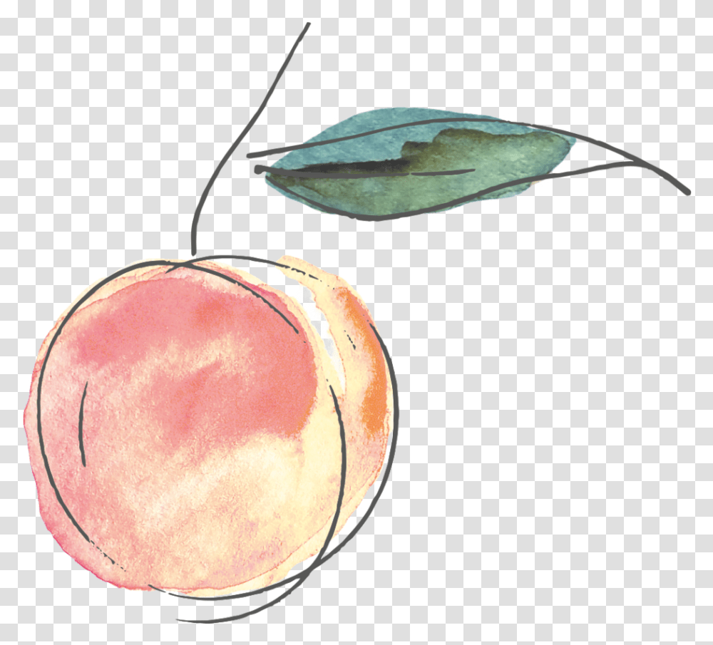 M Peach And Co, Leaf, Plant, Pottery, Linen Transparent Png