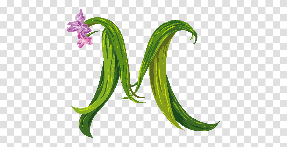 M Pictures Letter M, Plant, Vegetable, Food, Snake Transparent Png