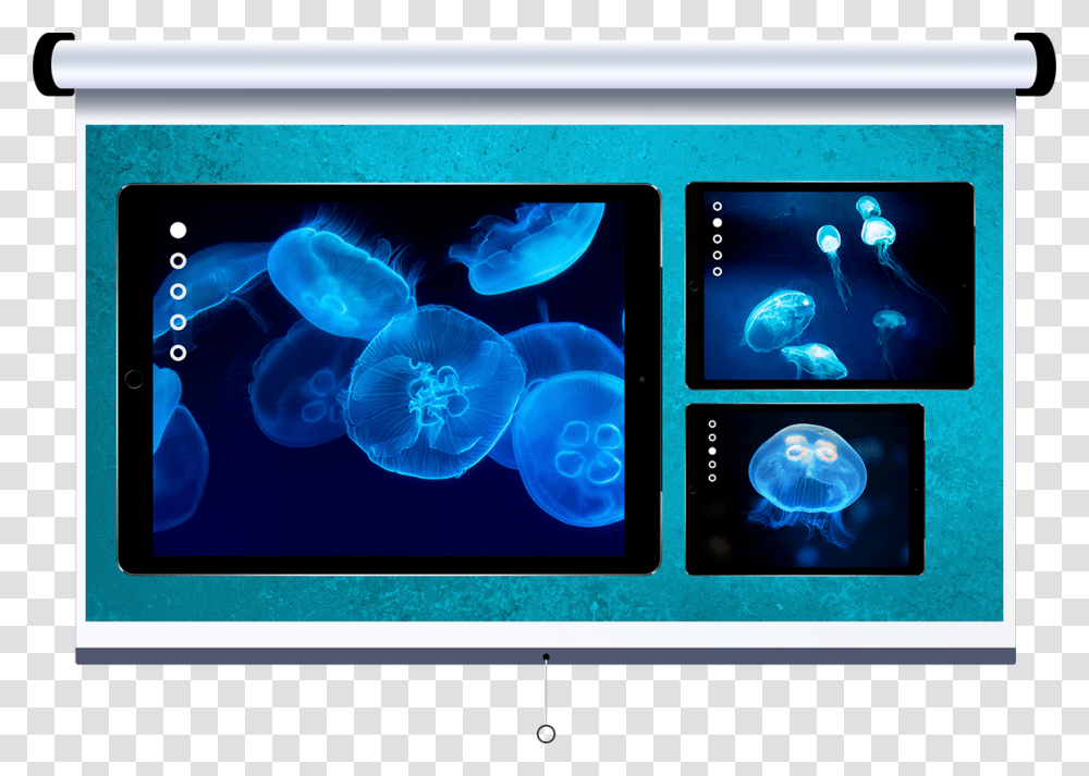 Mac Clipart Blue Computer Led Backlit Lcd Display, Jellyfish, Invertebrate, Sea Life, Animal Transparent Png
