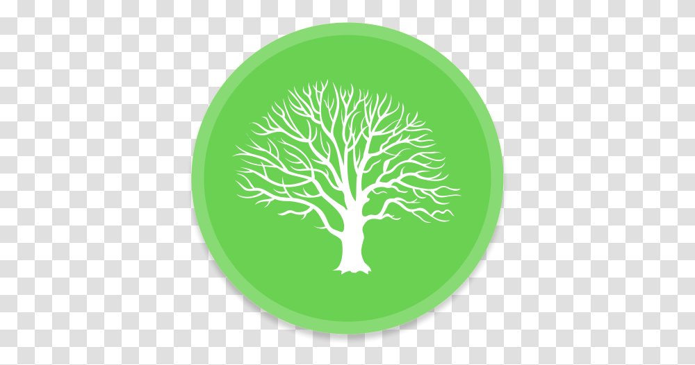 Mac Family Tree Free Icon Of Button Green Tree Icon, Frisbee, Toy, Rug, Outdoors Transparent Png
