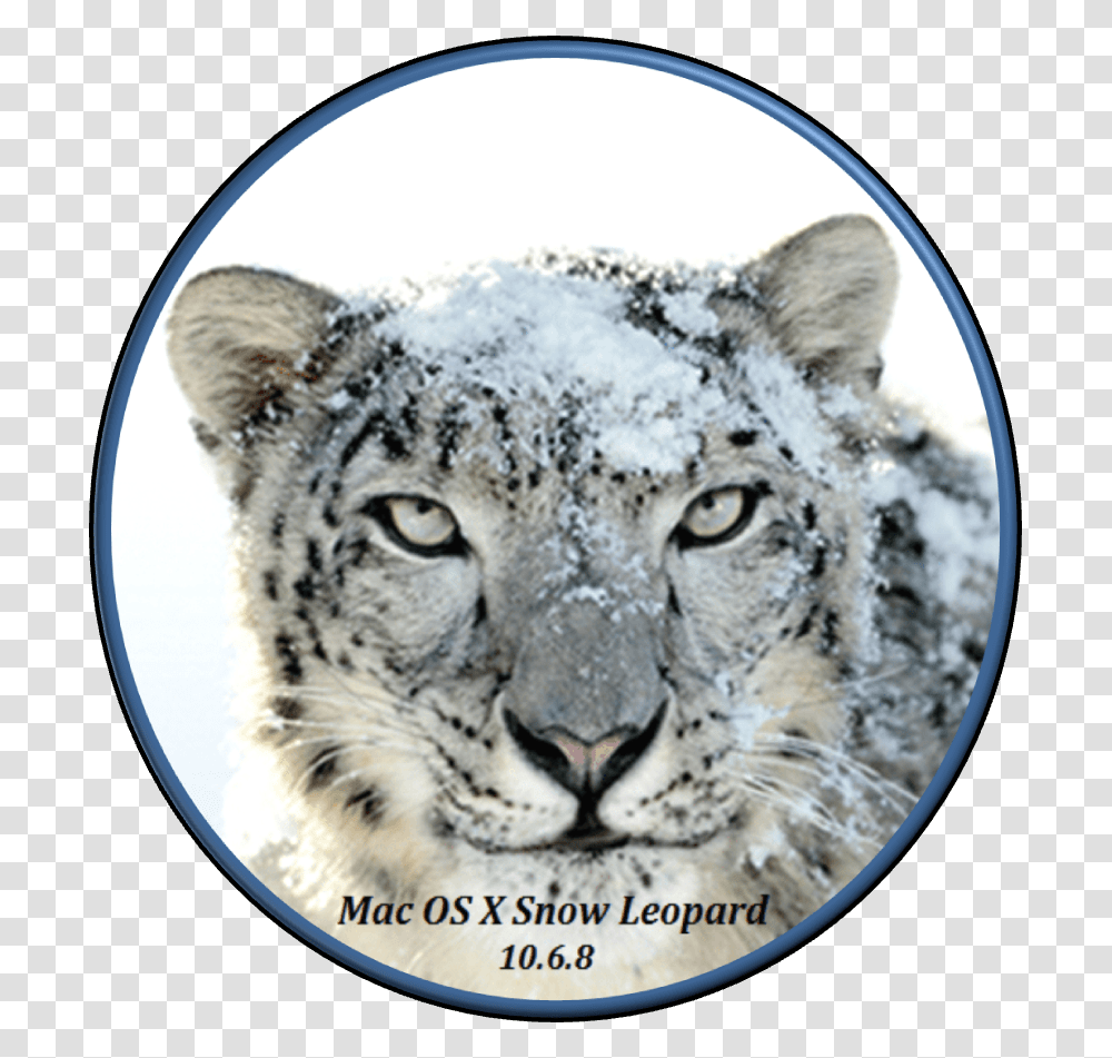 Mac Os X Snow Leopard Iatkos, Panther, Wildlife, Mammal, Animal Transparent Png