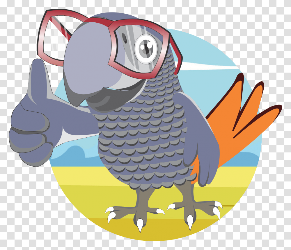 Macaw, Animal, Parrot, Bird, African Grey Parrot Transparent Png