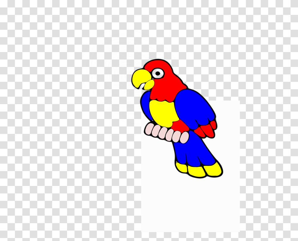 Macaw Bird Computer Icons True Parrot, Animal, Jay, Beak, Bluebird Transparent Png