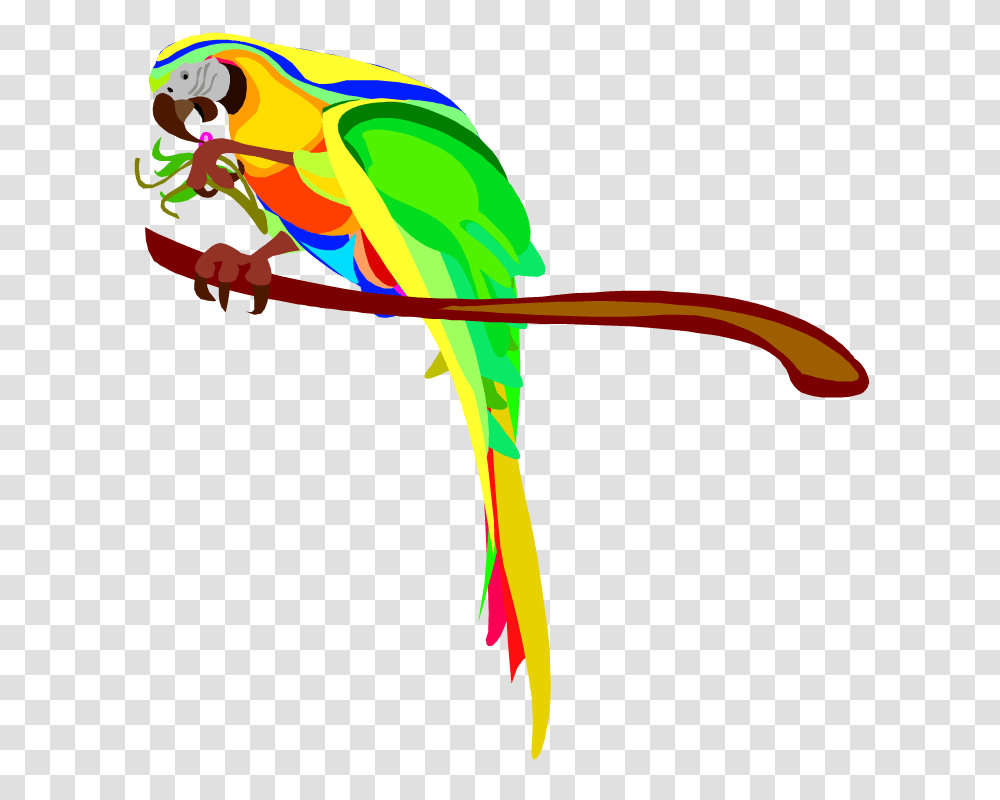 Macaw Clip Art, Animal, Bird, Parrot Transparent Png