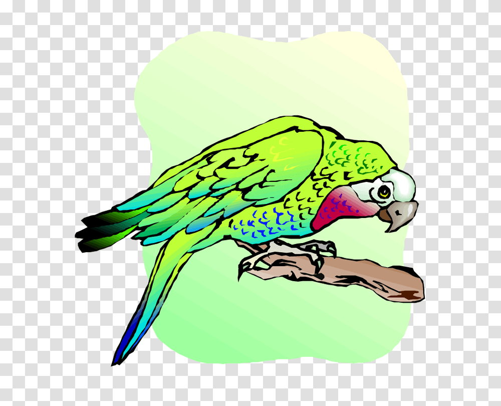 Macaw Clip Art, Bird, Animal, Parrot, Parakeet Transparent Png