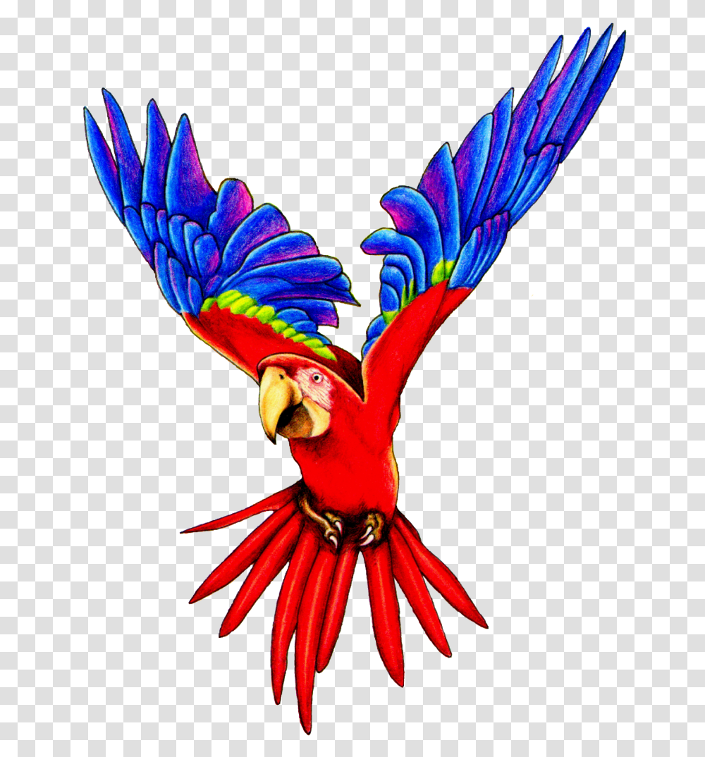 Macaw Clip Art, Parrot, Bird, Animal, Flying Transparent Png