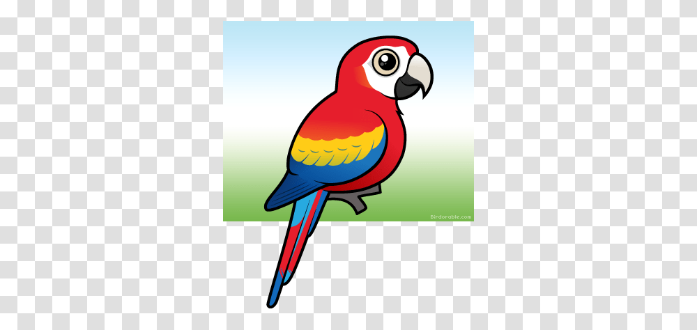 Macaw Clipart Cute, Animal, Bird, Parrot, Beak Transparent Png