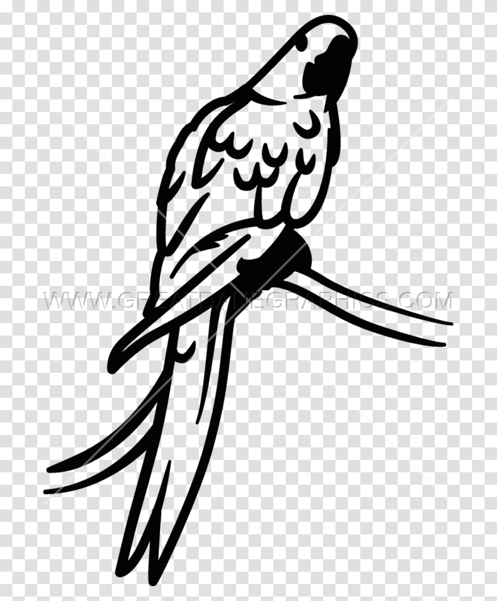 Macaw Clipart Hyacinth Macaw, Bow, Animal, Arrow Transparent Png