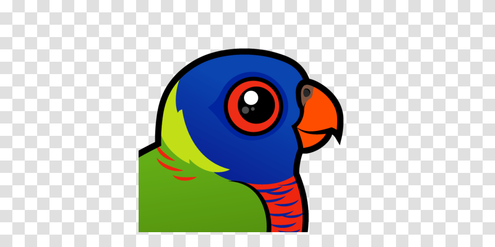 Macaw Clipart Rainbow, Bird, Animal, Musical Instrument, Beak Transparent Png