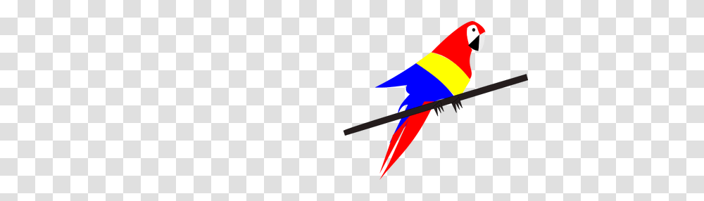 Macaw On The Tree, Star Symbol, Bow, Logo Transparent Png