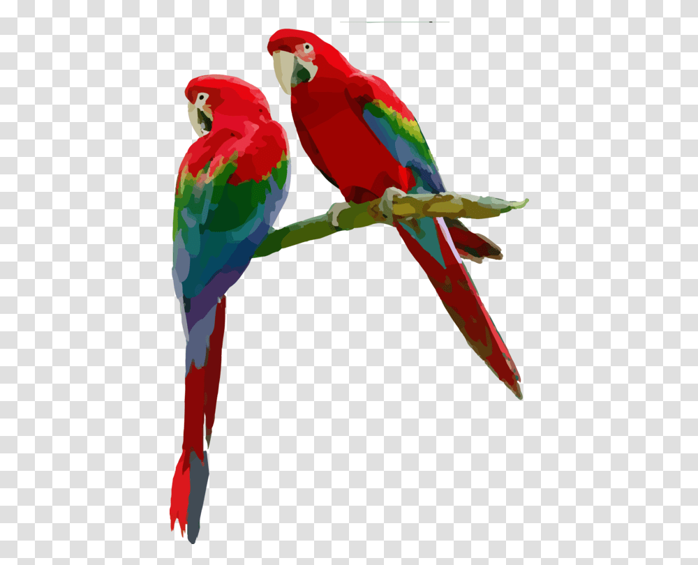 Macaw Parrot Budgie Clipart Bird Sitting On A Branch Clipart, Animal Transparent Png