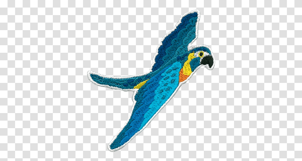 Macaw, Sock, Flying, Bird Transparent Png