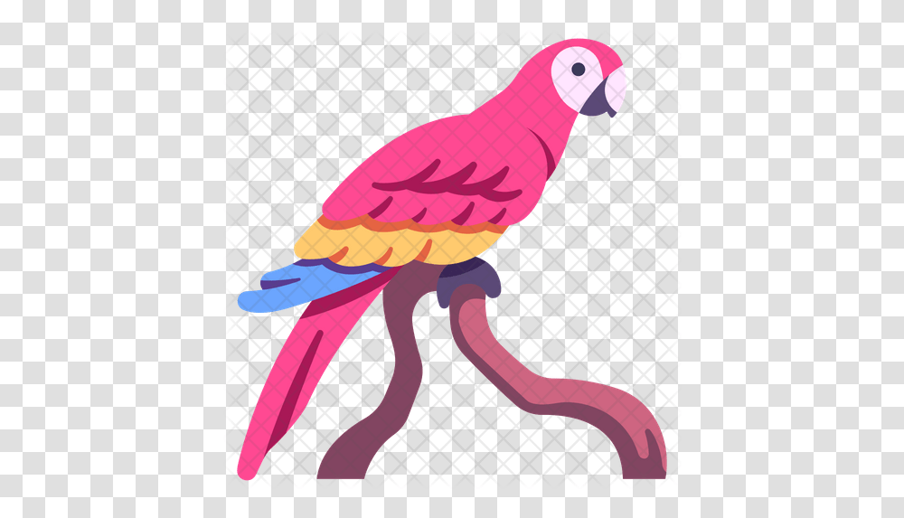 Macaws Icon Pet Birds, Animal, Vulture, Parrot, Beak Transparent Png