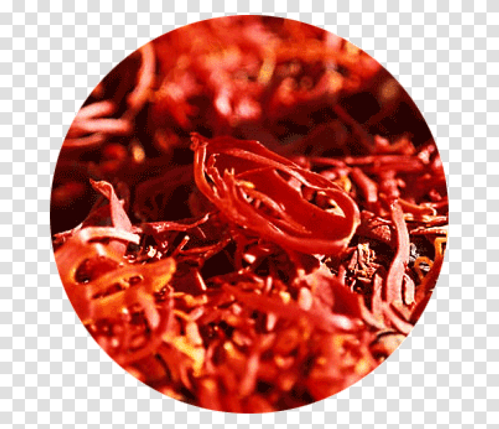 Mace Spice, Sweets, Food, Lobster, Animal Transparent Png