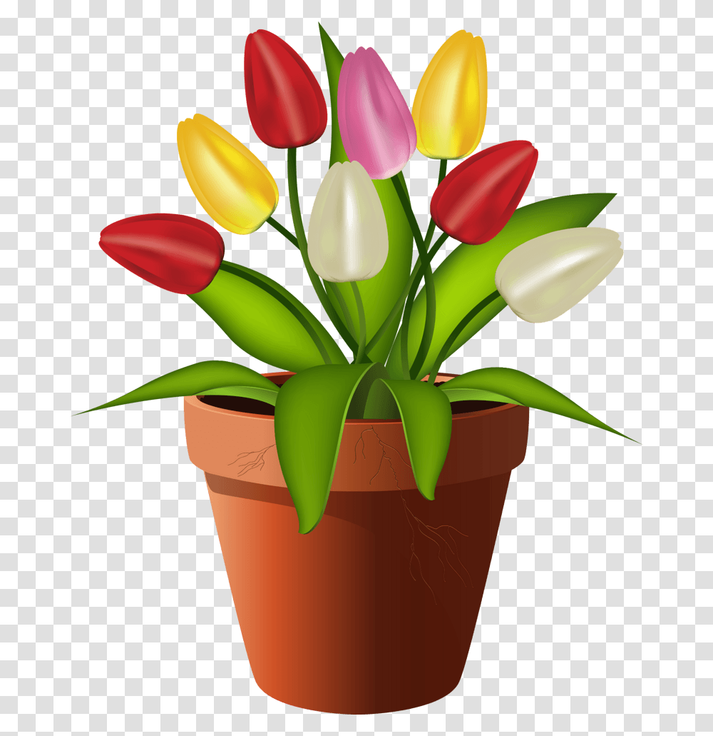 Maceta De Flores Ilustracion, Plant, Flower, Blossom, Tulip Transparent Png
