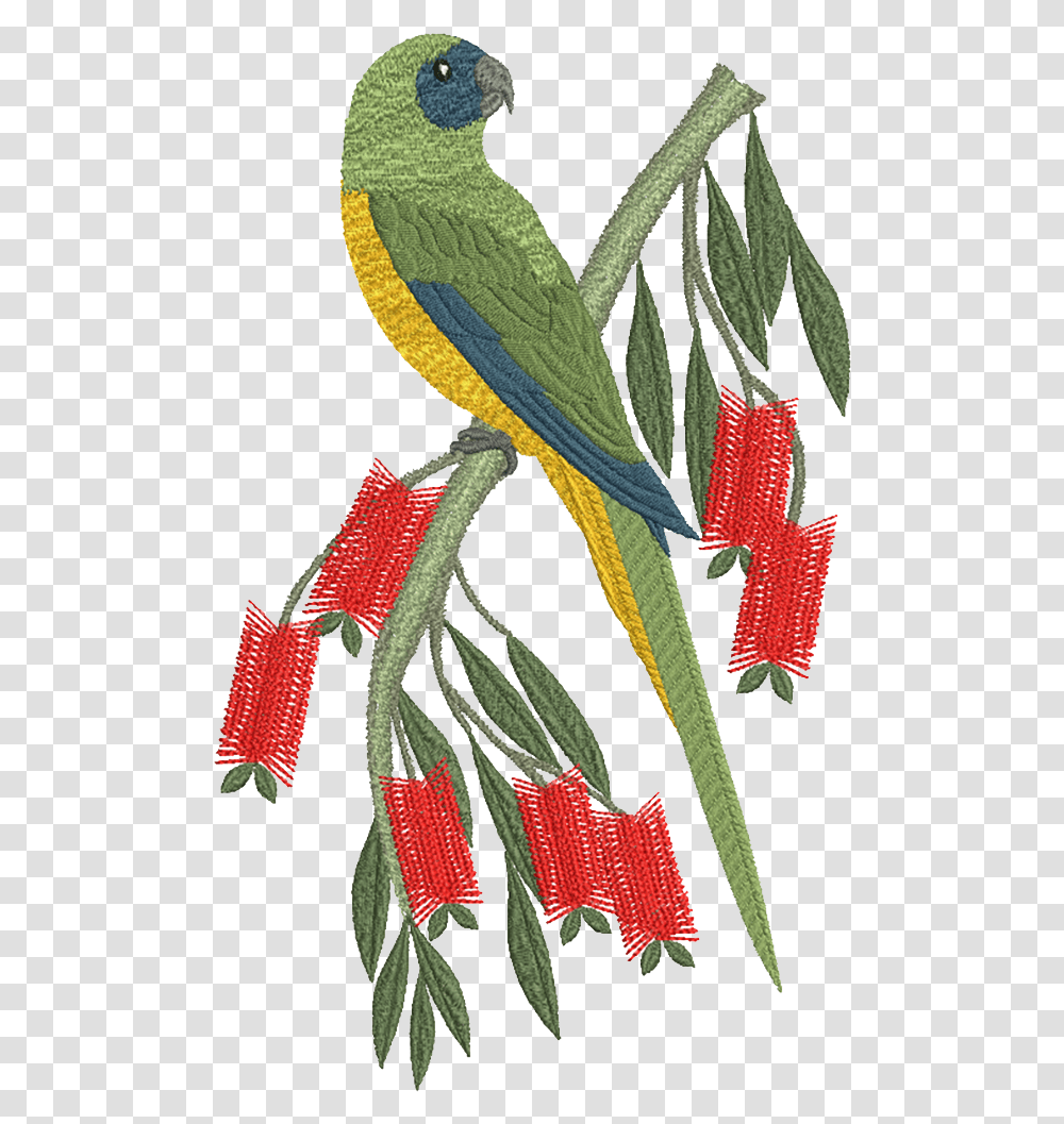 Machine Embroidery Designs Download Motif Design On Parrot, Bird, Animal, Scarf Transparent Png
