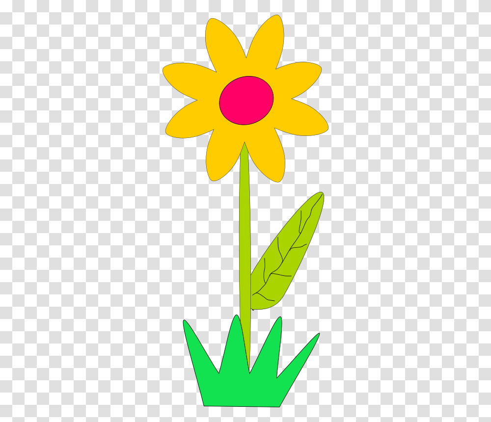 Machovka Flower, Nature, Plant, Blossom, Leaf Transparent Png