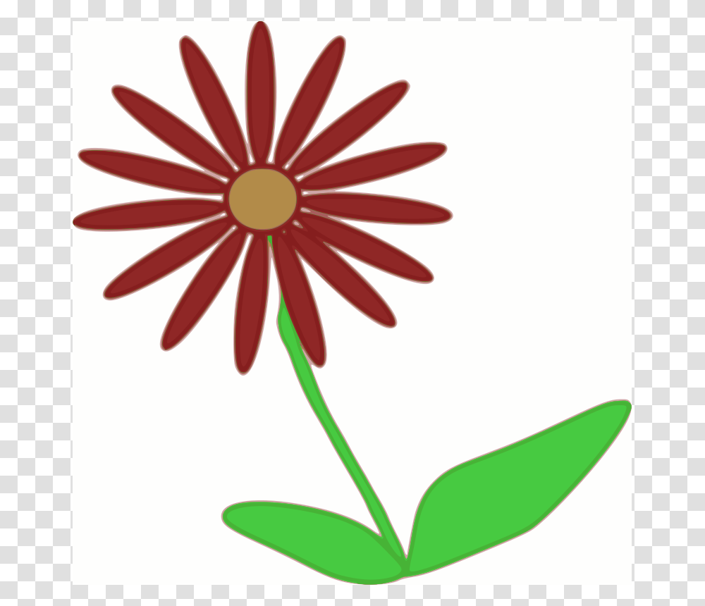 Machovka Flower2, Nature, Plant, Daisy, Daisies Transparent Png