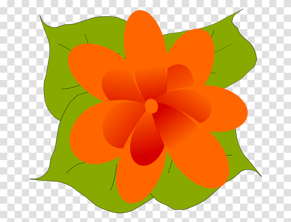 Machovka, Nature, Plant, Flower, Petal Transparent Png