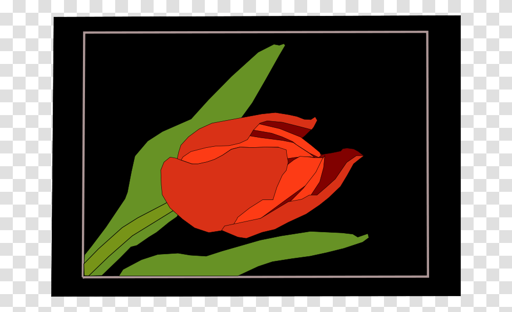 Machovka, Nature, Plant, Rose, Flower Transparent Png