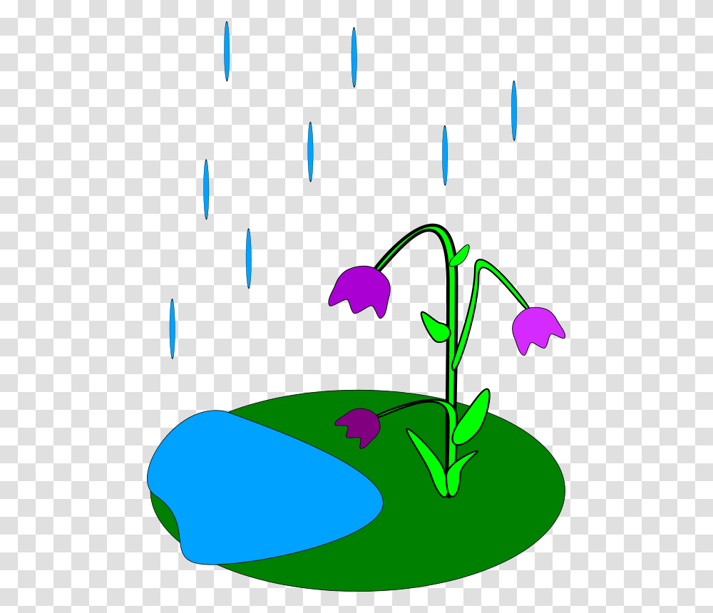 Machovka Rain, Nature, Plant Transparent Png