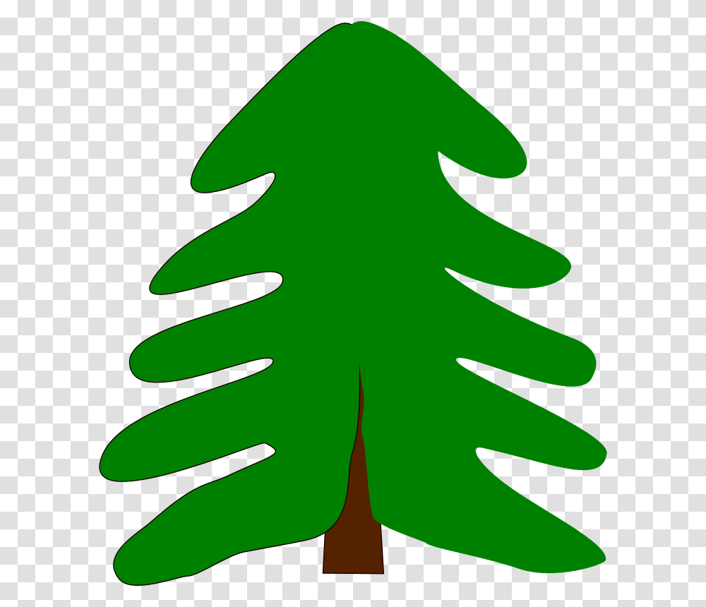 Machovka Spruce, Nature, Leaf, Plant, Fir Transparent Png