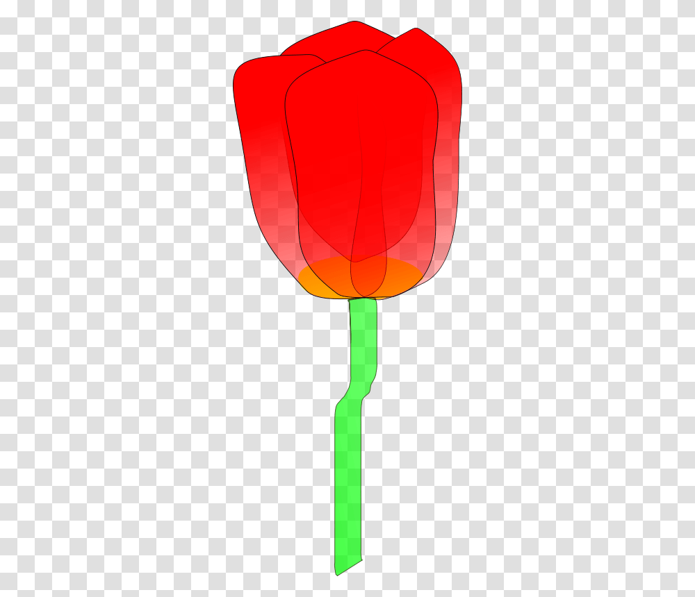 Machovka Tulip, Nature, Lamp, Lantern, Lampshade Transparent Png