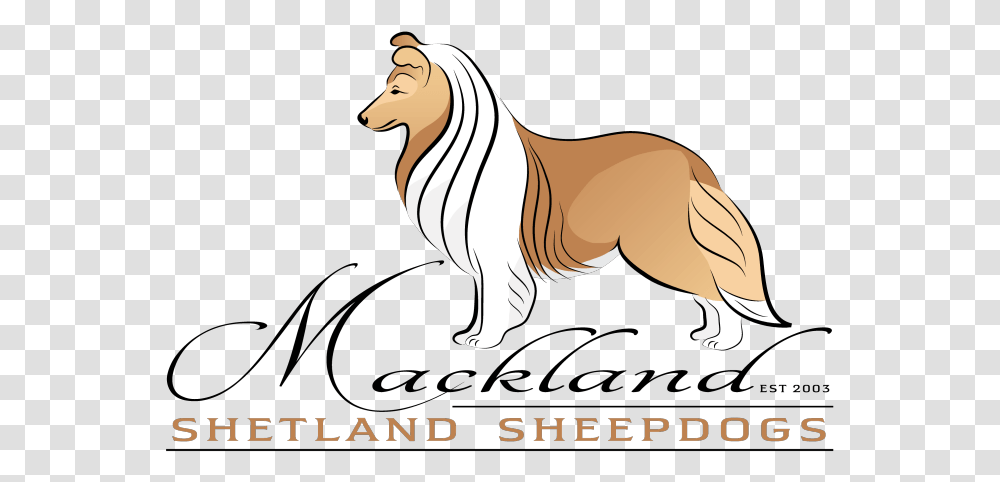 Mackland Shetland Sheepdogs In South Africa Scotch Collie, Label, Text, Mammal, Animal Transparent Png