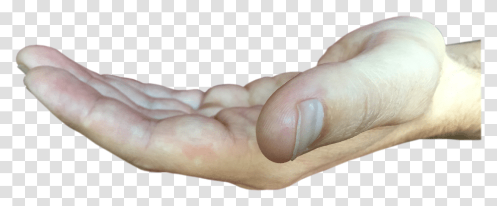 Macro Photography, Person, Toe, Heel, Hand Transparent Png