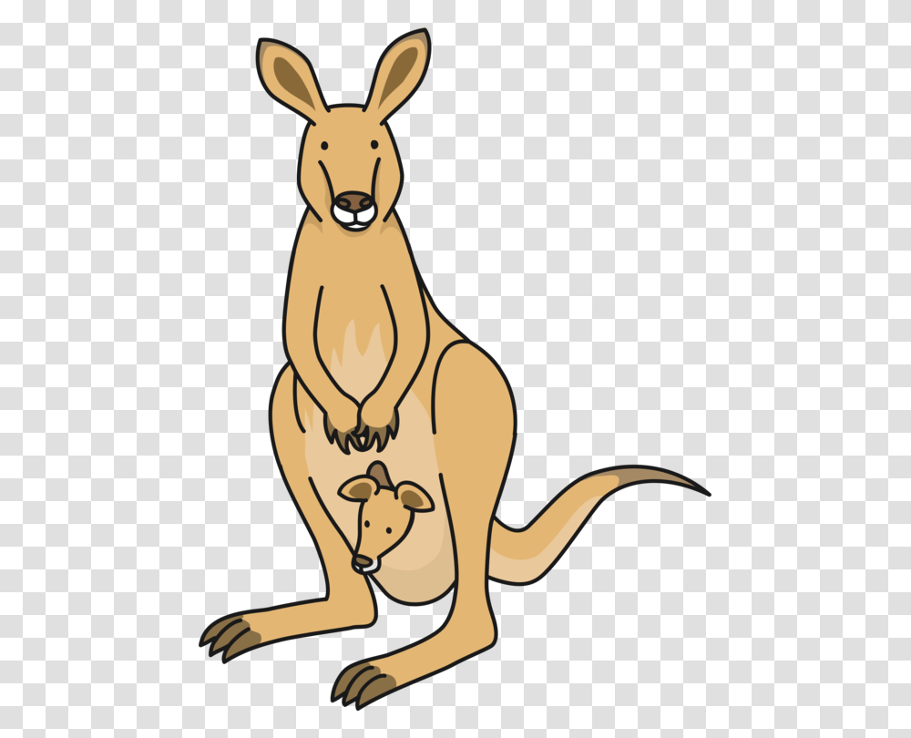 Macropods Kangaroo Drawing Mammal Diagram, Animal, Wallaby Transparent Png